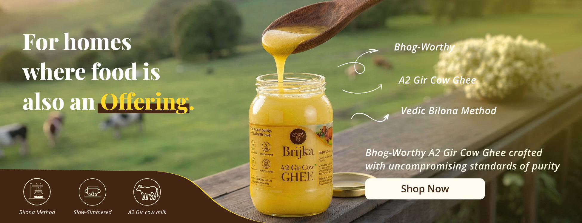 Brijka A2 Gir Cow Ghee jar with a wooden spoon on a wooden table outdoors.