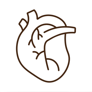 Icon emphasising Brijka A2 Gir Cow ghee as a comforting and wholesome fat for the heart.